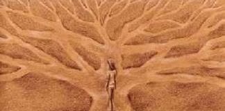 Le Créateur – Vos choix